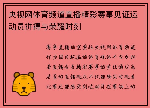 央视网体育频道直播精彩赛事见证运动员拼搏与荣耀时刻